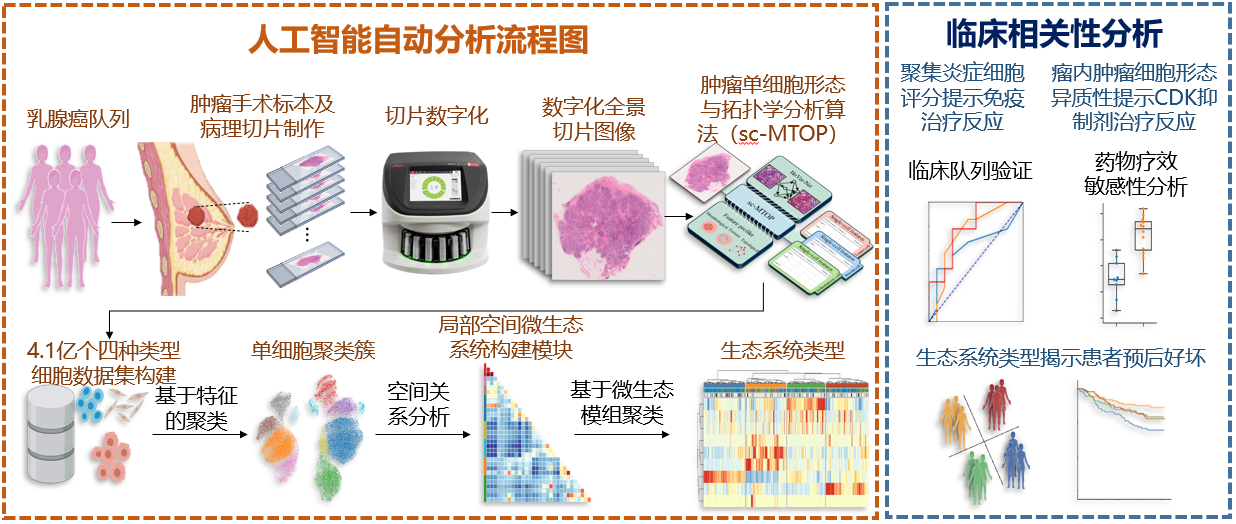 图片包含 日程表描述已自动生成